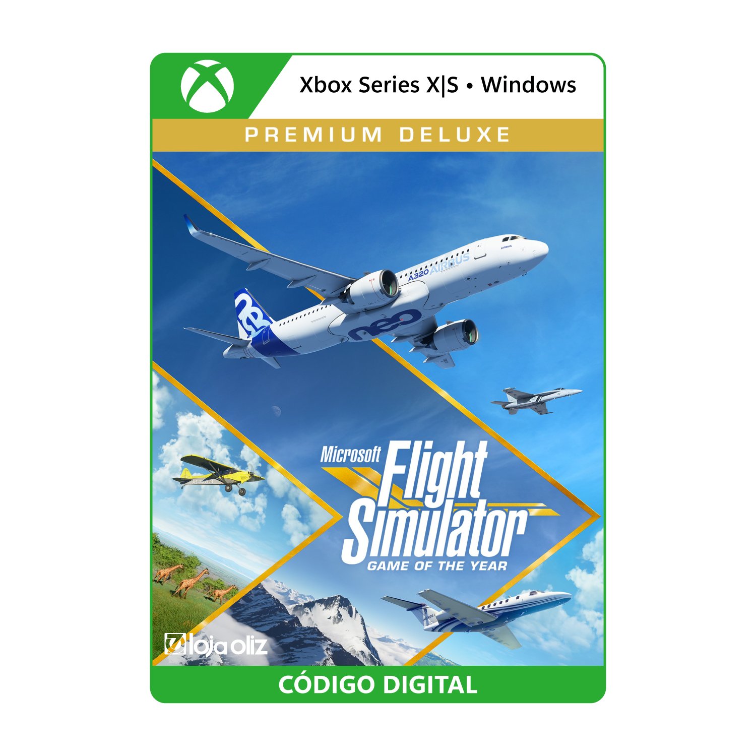  Microsoft Flight Simulator Premium Edition
