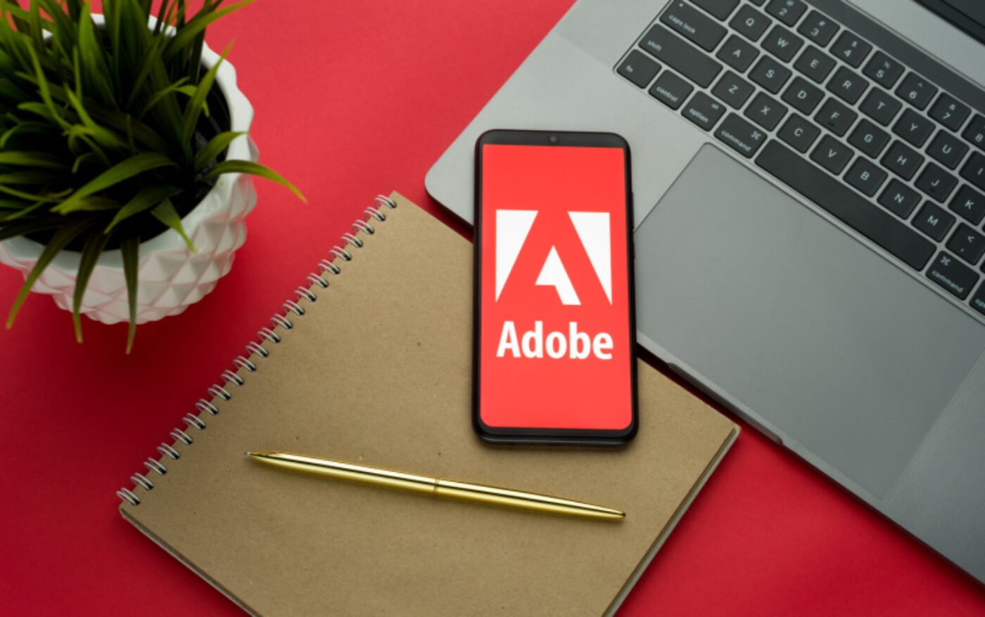 Introdução aos Programas Adobe: Guia para Iniciantes